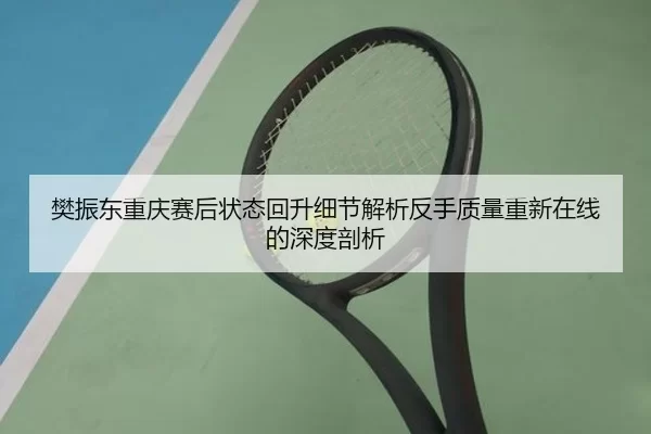 樊振东重庆赛后状态回升细节解析反手质量重新在线的深度剖析